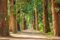 State Park Rangers Face Many On-the-job Risks